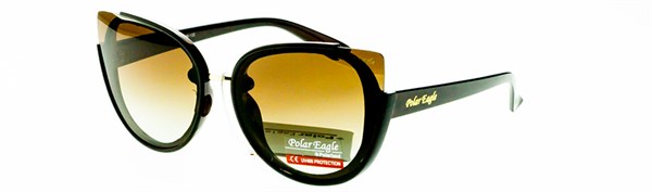 с/з Polar Eagle 7616 с2 - фото 10016