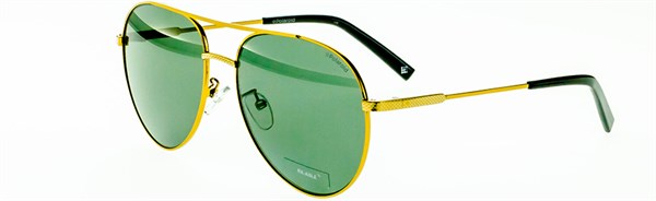 с/з Polaroid PLD2069 /F/S/X 6LD - фото 10503