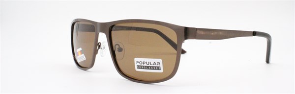 С/з очки Popular 58088 c14 - фото 10718