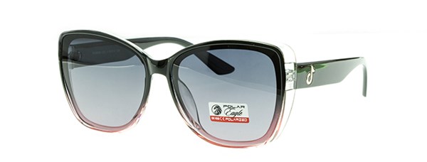 с/з Polar Eagle 5555 с4 - фото 16323