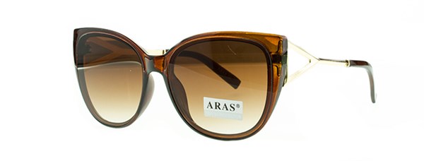 С/з очки Aras 8673 c2 - фото 16446