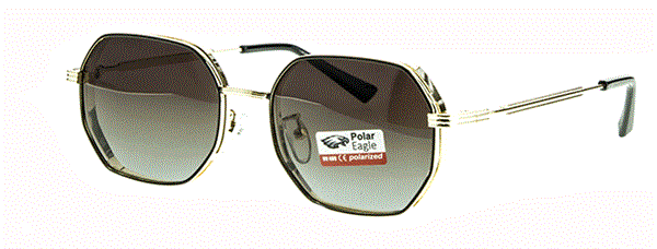 с/з Polar Eagle 6210 с3 - фото 18316