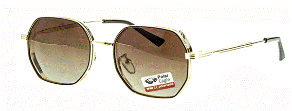 с/з Polar Eagle 6210 с2 - фото 18317