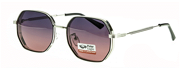 с/з Polar Eagle 6210 с5 - фото 18333