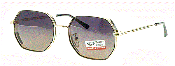 с/з Polar Eagle 6210 с6 - фото 18334