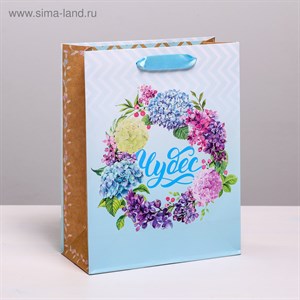 Пакет ламинированный вертикальный  Чудес  18*23*8см (2634315) - фото 19264