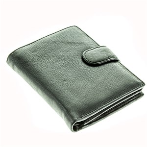 Портмоне Catiroya мужское  натуральная кожа (550-302) - фото 19829