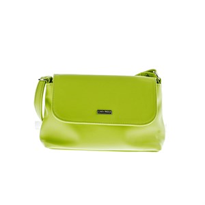 Сумка женская Salomeя экокожа (440) Скидка 25% - фото 21161