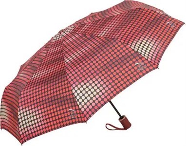 Зонт Lucky Rain женский автоматический 100% п/э (709) - фото 21865