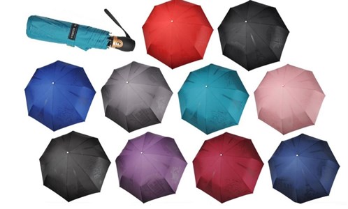 Зонт ТРИ СЛОНА суперавтомат женский 100% п/э (3898) - фото 22494