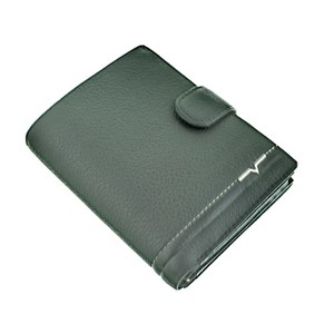 Портмоне Catiroya мужское  натуральная кожа (502-302) - фото 24056