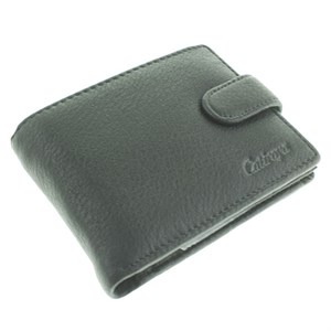 Портмоне Catiroya мужское  натуральная кожа (532-208) - фото 24099