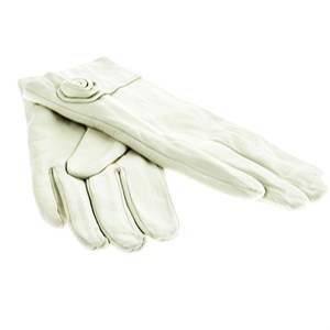 Перчатки жен. G&G нат.кожа подкл. плюш (14150) - фото 24364