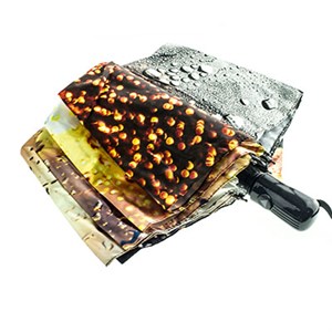 Зонт ZITA п/автоматический женский 100% п/э (719) - фото 26097