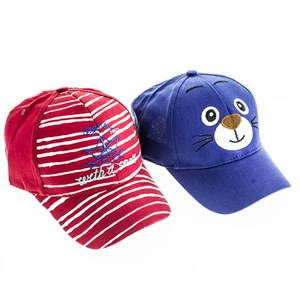 Кепка детская Xryr 100%хлопок (1305-4) - фото 27366