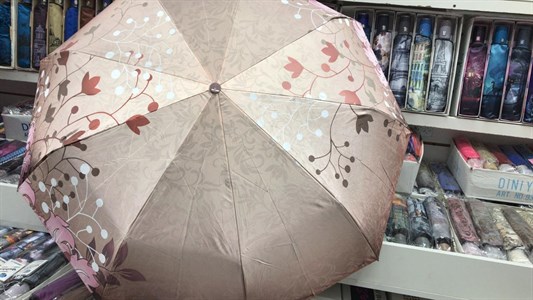 Зонт DINIYA женский автоматический 100% п/э (2246) - фото 27627