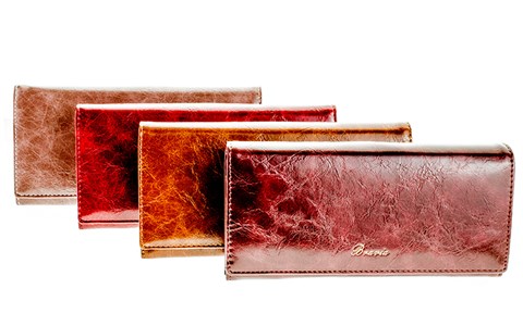 Кошелек BRAVIA женский галантерейная кожа (1315-1909) - фото 27843