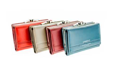 Кошелек CANEVO женский галантерейная кожа (7-5-7601) - фото 27846
