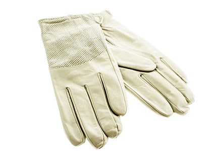 Перчатки жен. FASCINO нат.кожа козлика подкл. шерсть (202005) - фото 28690