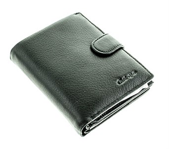 Портмоне Catiroya мужское  натуральная кожа (561-302) - фото 30108