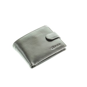 Портмоне CATIROYA мужское натуральная кожа (530-208) - фото 33103