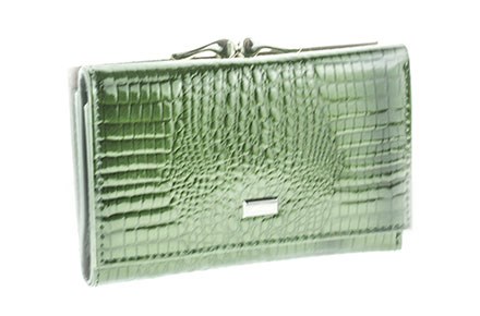 Кошелек женский Albatross натуральная кожа/лак (32-3219) - фото 33233