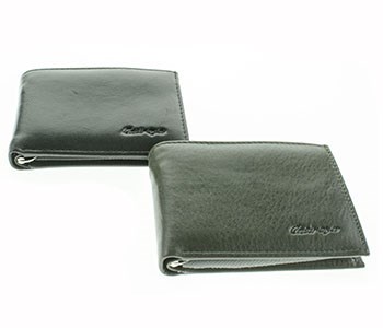 Портмоне Catiroya мужское натуральная кожа (571-206) - фото 34088