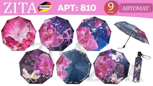 Зонт ZITA  автоматический женский 100% ПЭ (810) - фото 34715