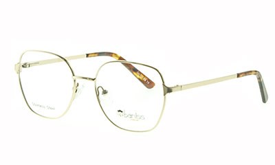 Baniss 1002 с03 мет+фут - фото 34884