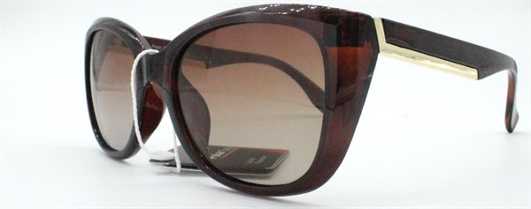 с/з Polar Eagle 030511 c2 - фото 5785