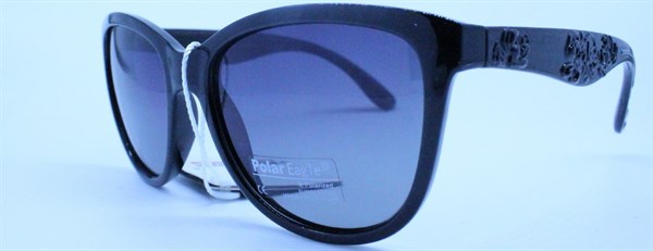 с/з Polar Eagle 030510 c1 - фото 6254