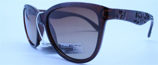 с/з Polar Eagle 030510 c2 - фото 6271