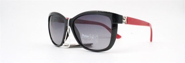 с/з Polar Eagle 030526 c4 - фото 7396