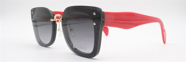 c/з Prius 3291 с3 - фото 7513