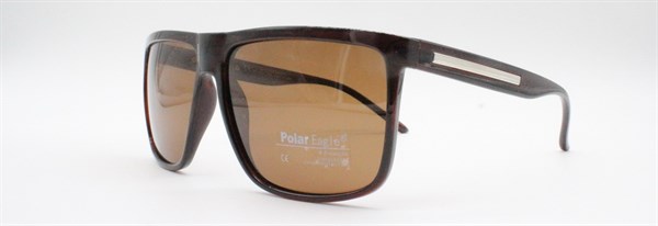 с/з Polar Eagle 2001 с2 - фото 7607