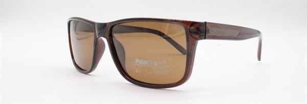 с/з Polar Eagle 2006 с2 - фото 7610