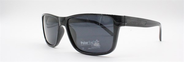 с/з Polar Eagle 2006 с1 - фото 7611