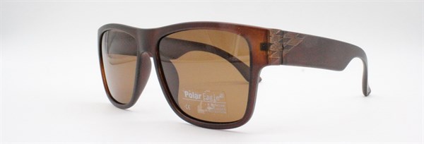 с/з Polar Eagle 2010 с2 - фото 7612