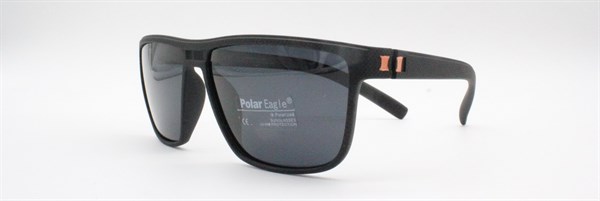 с/з Polar Eagle 2009 с3 - фото 7613