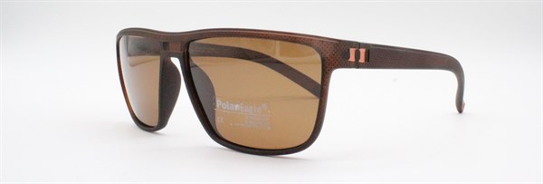 с/з Polar Eagle 2009 с2 - фото 7614