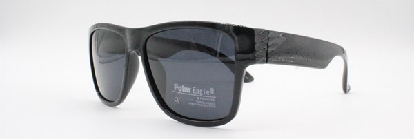 с/з Polar Eagle 2010 с1 - фото 7626