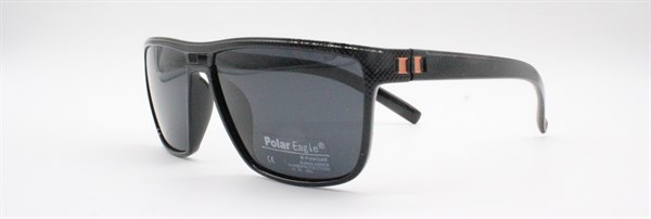 с/з Polar Eagle 2009 с1 - фото 7627