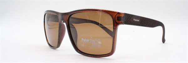 с/з Polar Eagle 2016 с2 - фото 7636