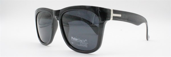 с/з Polar Eagle 2005 с1 - фото 7644