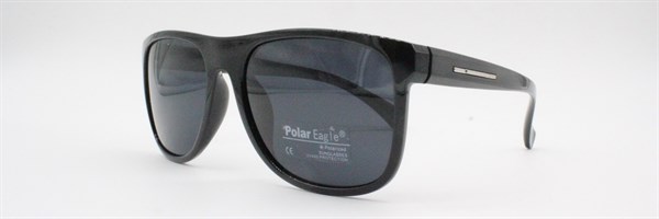 с/з Polar Eagle 2013 с1 - фото 9556