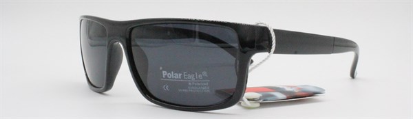 с/з Polar Eagle 5573 с1 - фото 9628