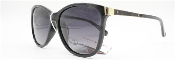 с/з Polar Eagle 5070 с1 - фото 9631