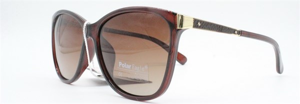 с/з Polar Eagle 5070 с2 - фото 9636