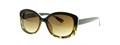 С/з Safilo Low Tide  16426924837